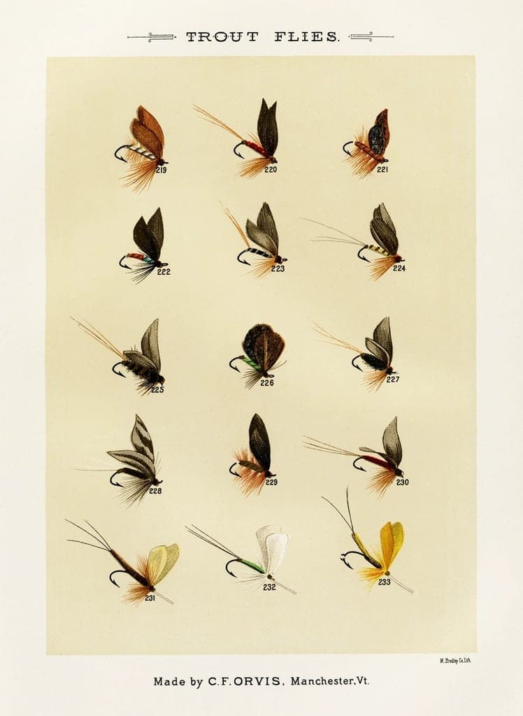An open fly box with a selection of trout flies