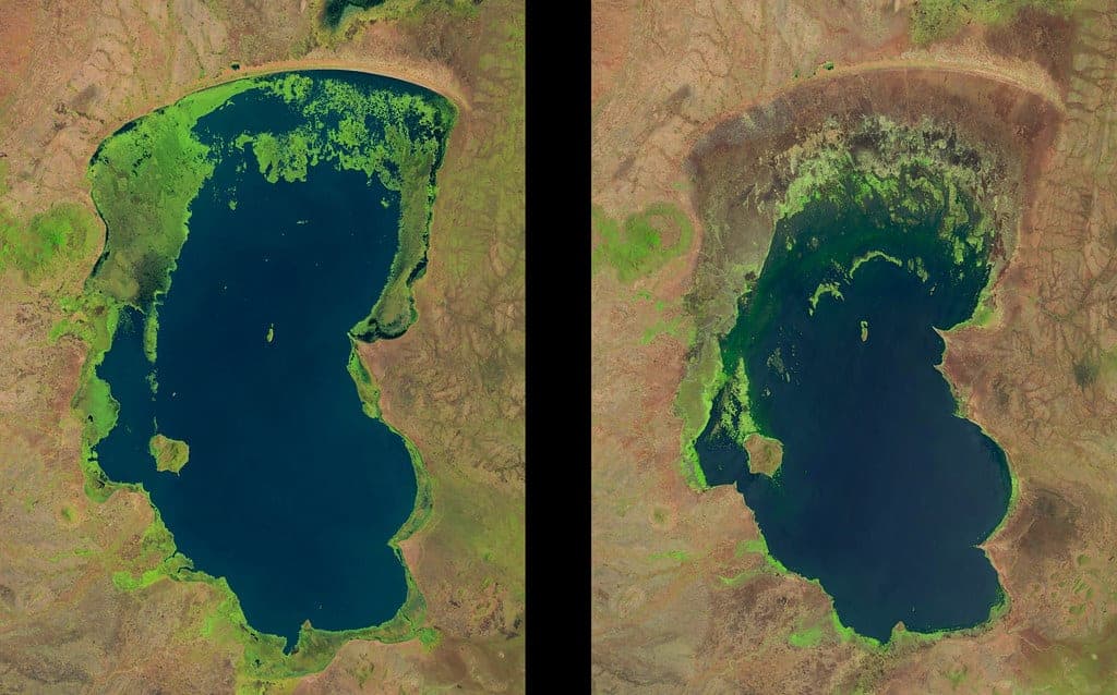 A wooden-framed landing net with a rubber mesh bag resting on river gravel